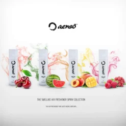 Aensō SMELLIKE Lufterfrischer ORBIT 500ml