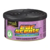 California Scents® Car Scents Santa Barbara Berry