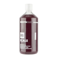 INNOVACAR DS Scale 2-in-1 Antikalk-Shampoo 1L