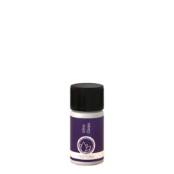 Nanolex Ultra Glass Glasversiegelung 30ml
